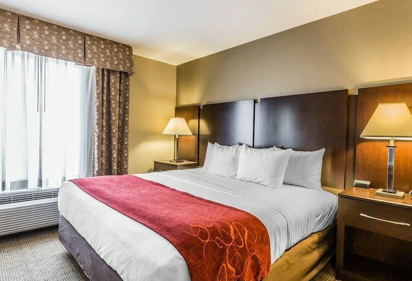 Люкс, Comfort Suites