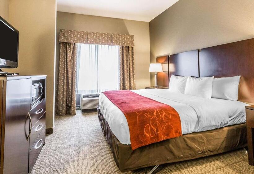 Люкс Адаптированный для Инвалидов, Comfort Suites