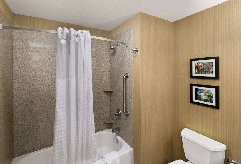 Люкс, Comfort Suites