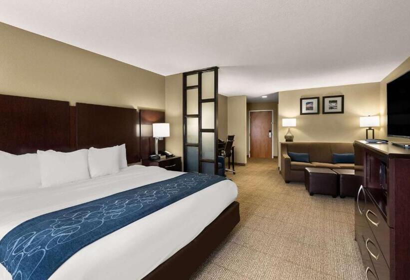 Люкс Кровать Кинг, Comfort Suites
