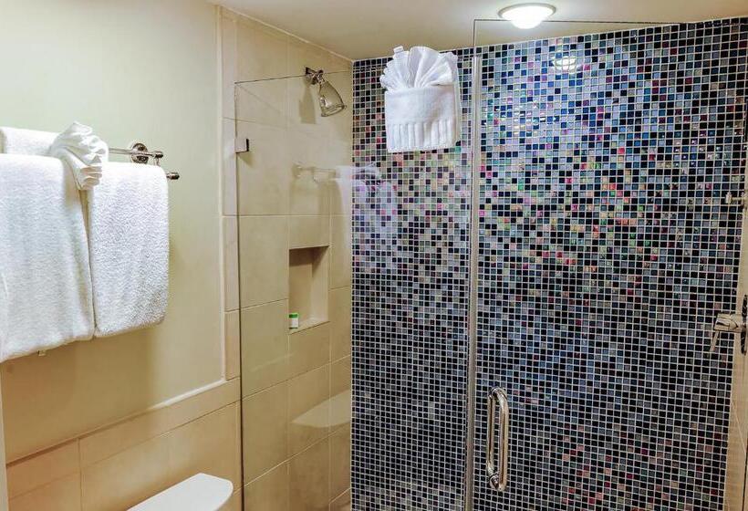 חדר סופריור נוף לבריכה, Silver Palms Inn