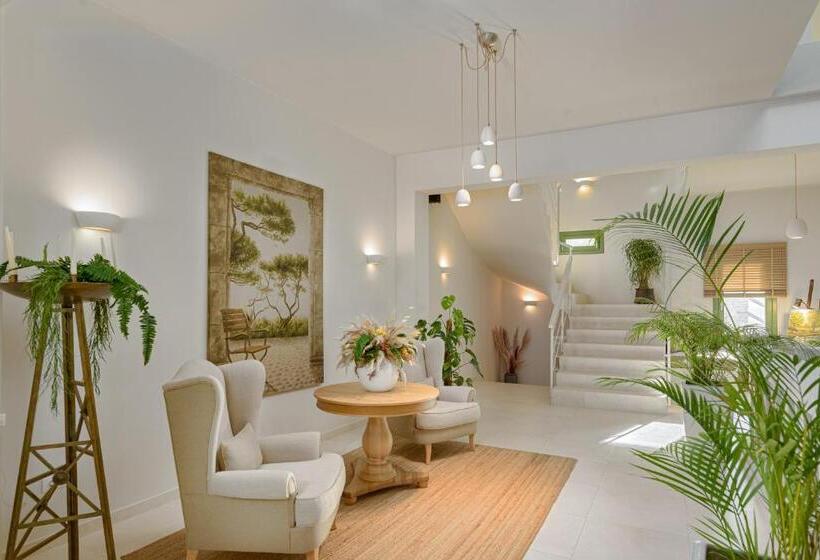 带海景的复工套房, Casa Di Fiori Andros Suites