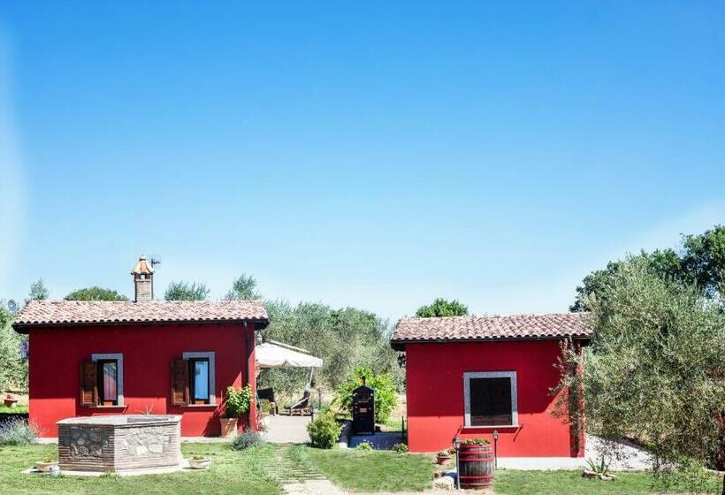 Номер Стандарт, Agriturismo Poggio Degli Ulivi