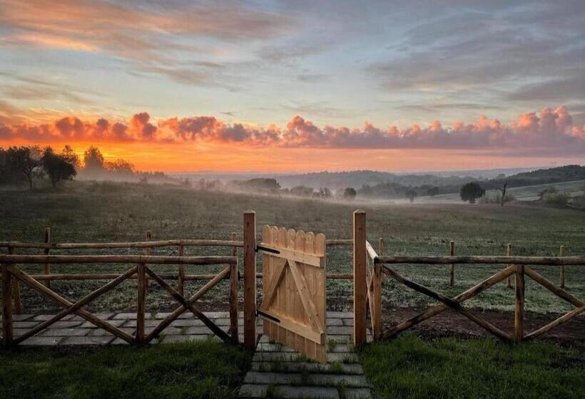 Номер Стандарт, Agriturismo Poggio Degli Ulivi