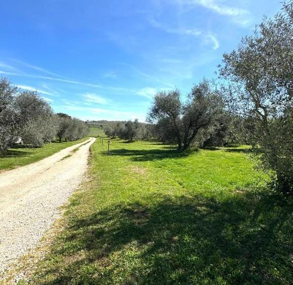 Бунгало Стандарт, Agriturismo Poggio Degli Ulivi