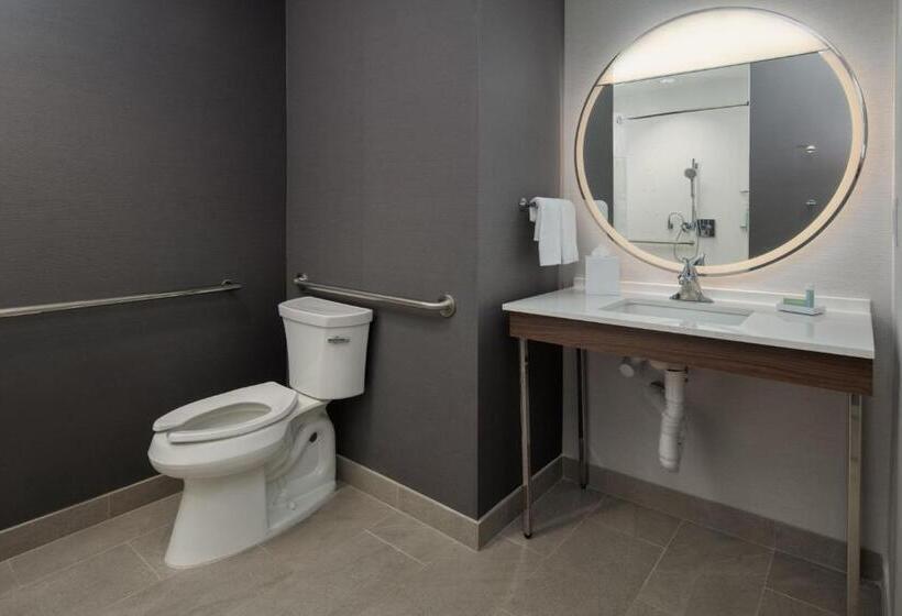 套房, Courtyard By Marriott Santa Cruz