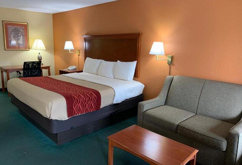 Номер Deluxe Одноместный, Coachman S Inn Motel