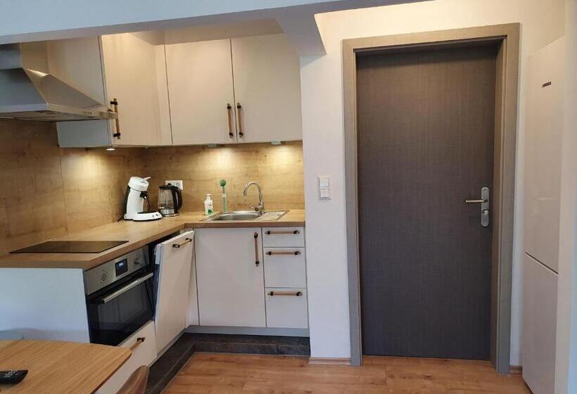 스탠다드 스튜디오 바다 전망, Römerstube Apartments & Rooms