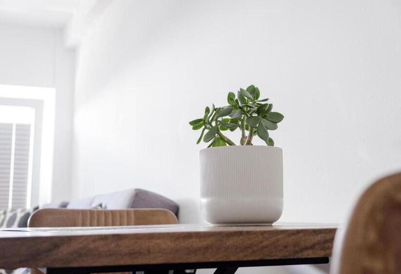 استودیوی استاندارد, Argenta Living 16