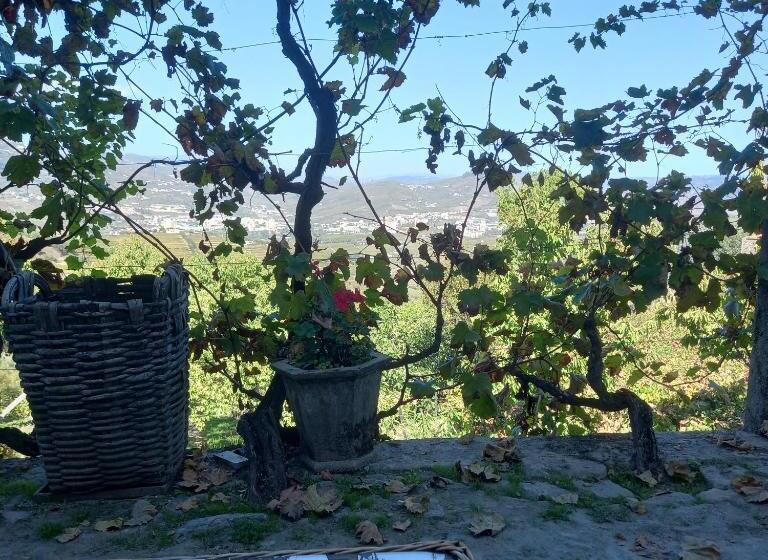 Люкс Вид на Город, Quinta Casa Do Quintal