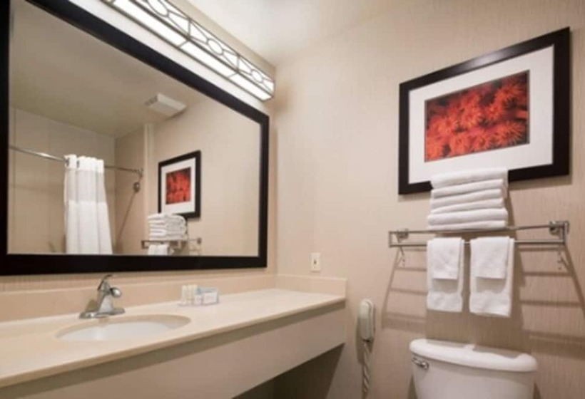스탠다드 스튜디오, Fairfield Inn & Suites Tucson North/oro Valley