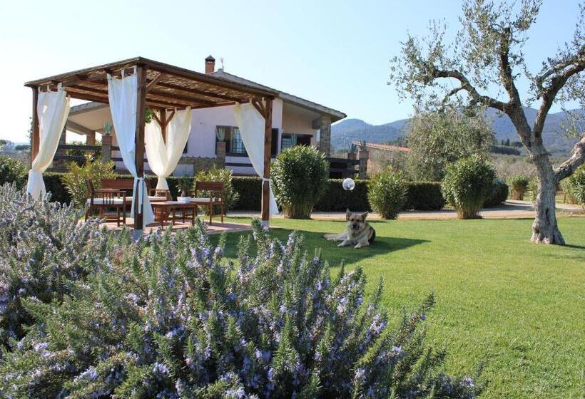 آپارتمان 1 خوابه با چشم‌انداز باغ, Agriturismo Il Vecchio Mandorlo