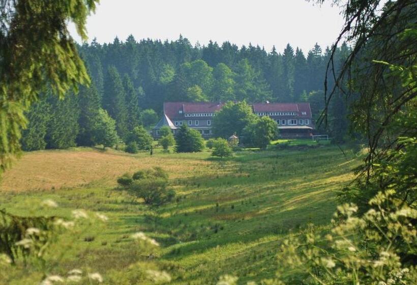 Бунгало Стандарт Вид на Сад, Flambacher Mühle
