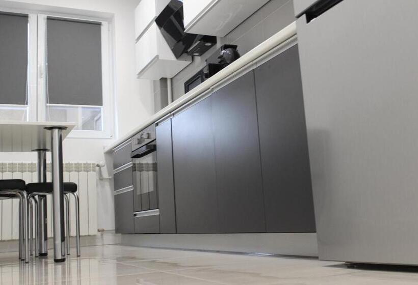 آپارتمان 1 خوابه با بالکن, Luxury City Center Apartment – Romana