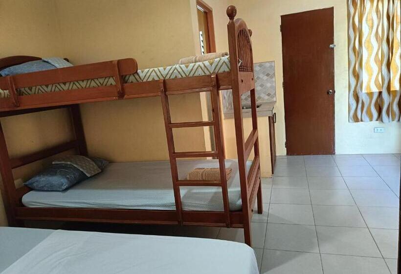 Quarto Familiar, Allen Marie Shiphaus