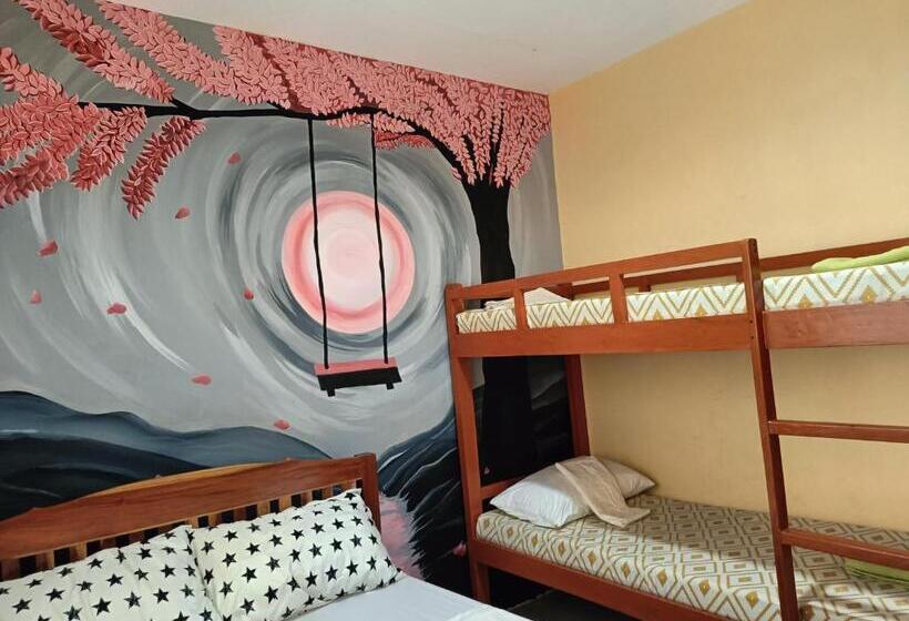 Quarto Quádruplo Estandar, Allen Marie Shiphaus