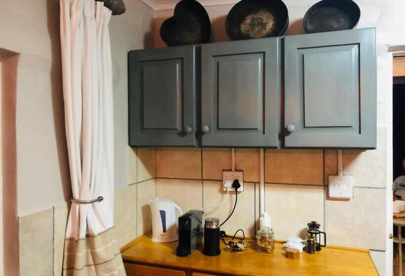 Семейный Номер, Yellow House Prince Albert