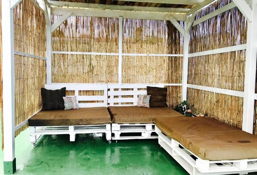 Номер Стандарт Индивидуальный Совместная Ванная, Wifi Tenerife Sur Guest House