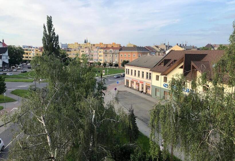 Апартаменты 2 Спальни, Skodova Apartments