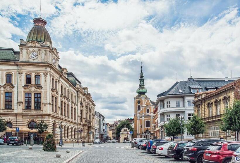 Апартаменты 2 Спальни, Skodova Apartments
