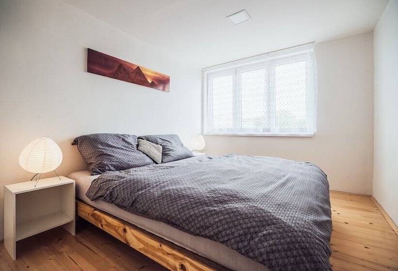 Апартаменты Superior 1 Спальня, Skodova Apartments