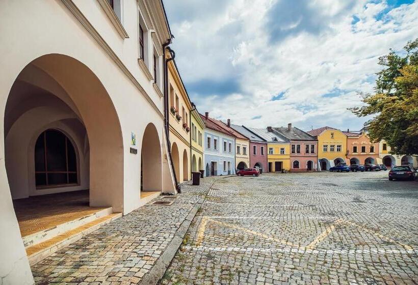 Номер Superior Одноместный, Skodova Apartments