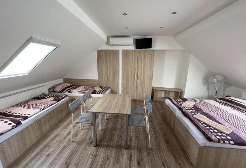 اتاق خانوادگی, Sunny Apartman