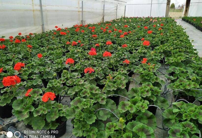 آپارتمان 1 خوابه با چشم‌انداز باغ, Agriturismo  Le Serre