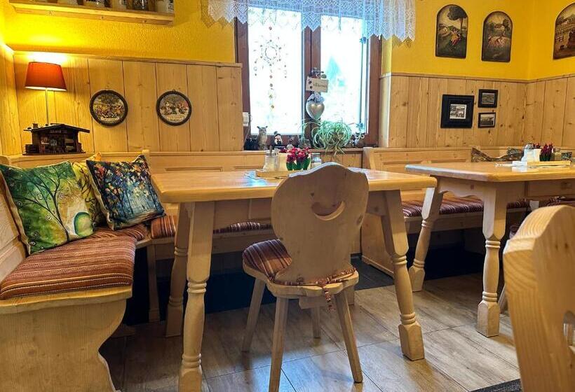 Полулюкс, Maier Pension