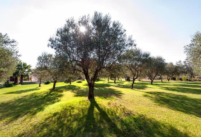 اتاق استاندارد سه تخته با چشم‌انداز استخر, Olive Garden House