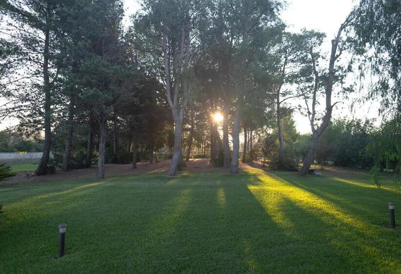 سوییت با چشم‌انداز باغ, Olive Garden House