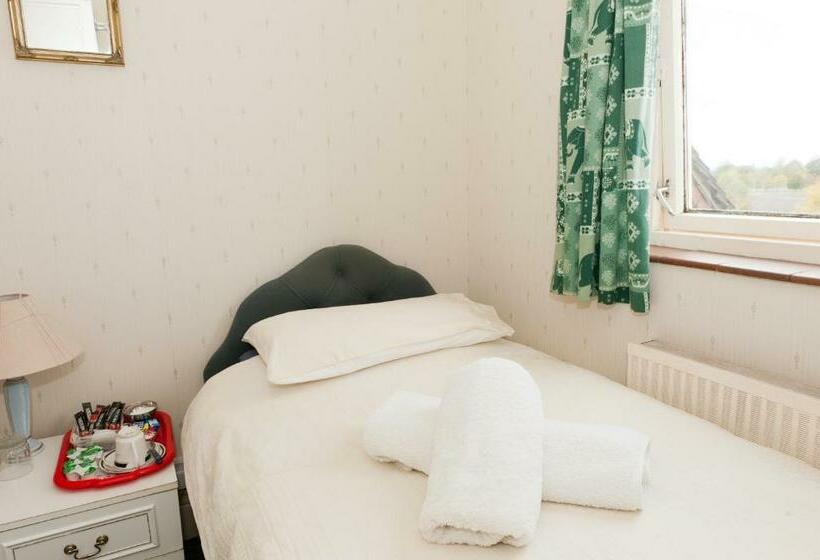 غرفة قياسية فردية, Birtley House Guest House B&b