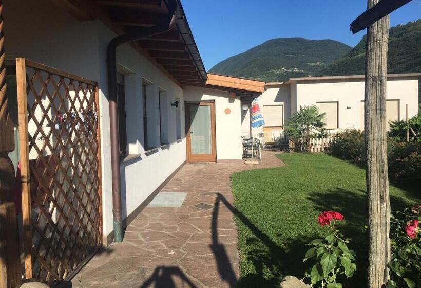 آپارتمان 1 خوابه, Weingut Zundlhof