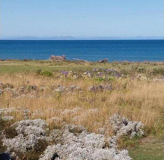 Номер Deluxe, Rarangi Seaview On The Beach B&b