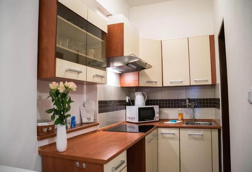 Апартаменты 1 Спальня, Penzion Staré Louny