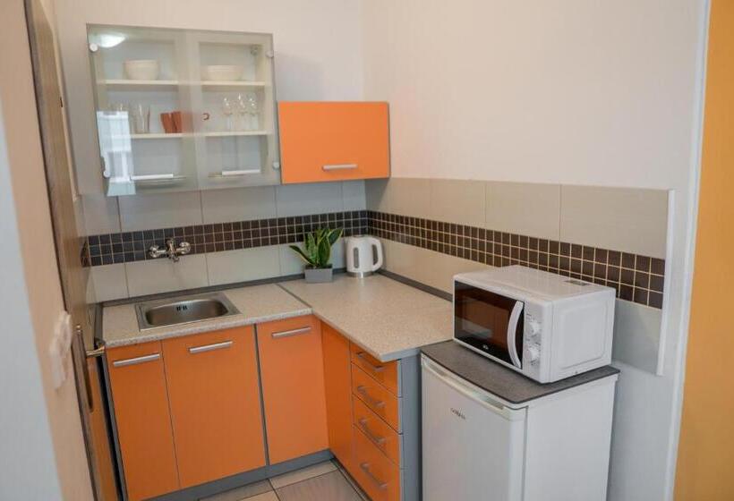 Студия Стандарт, Penzion Staré Louny