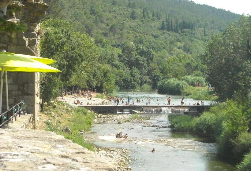 Номер Стандарт, Chez Shona