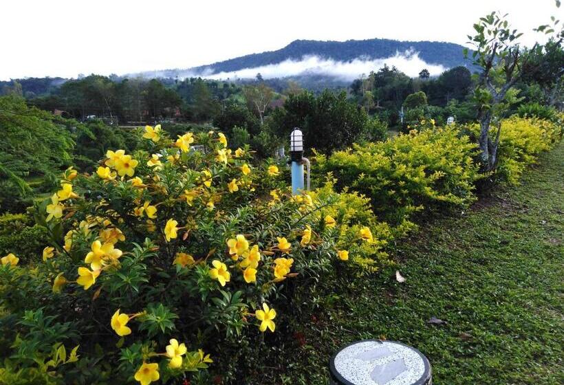 Стандартный Номер Кровать Кинг, Khao Kho Flora