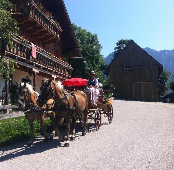 침실 1개 아파트, Reitbauernhof Schartner