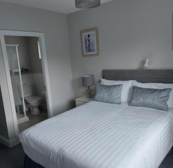 스탠다드 룸, Blackrock Carole Ville Guesthouse