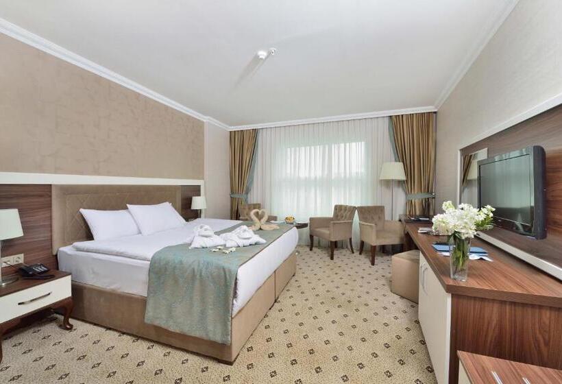Номер Стандарт, The Sign Kocaeli Thermal Spa Hotel &convention Center