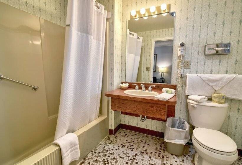 Номер Стандарт 2 Двуспальные Кровати, Roosevelt Inn And Suites Saratoga Springs