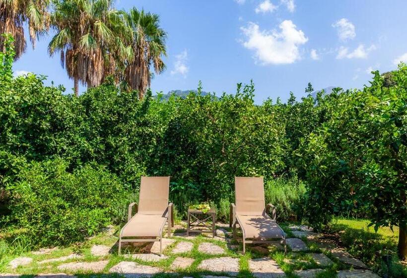 Люкс с Террасой, Finca Ca S Curial   Agroturismo   Adults Only