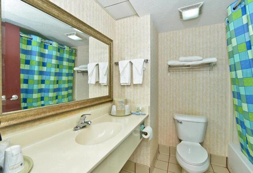 Стандартный Номер Кровать Кинг, Best Western Canton Inn