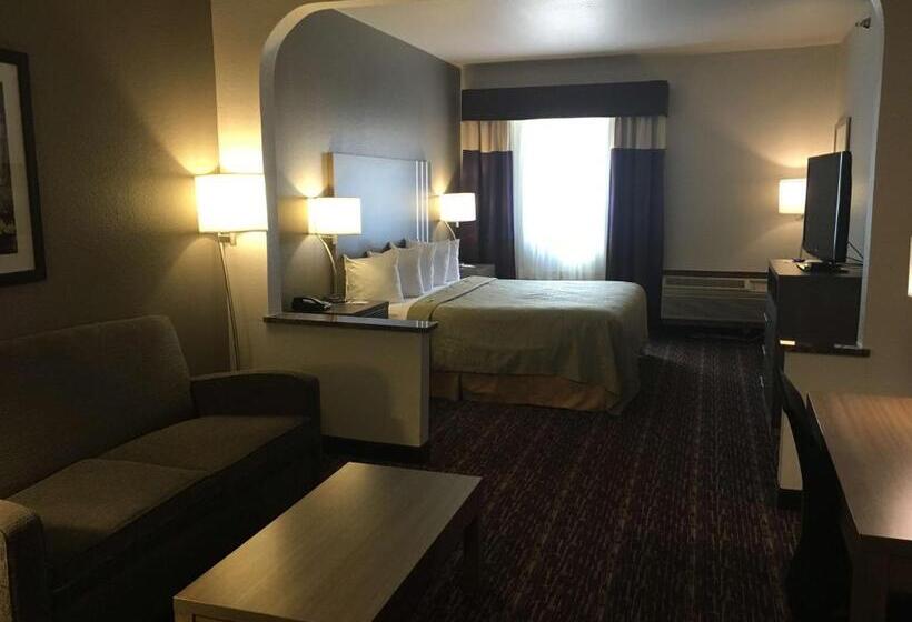 Стандартный Номер Кровать Кинг, Surestay Plus  By Best Western Edmond