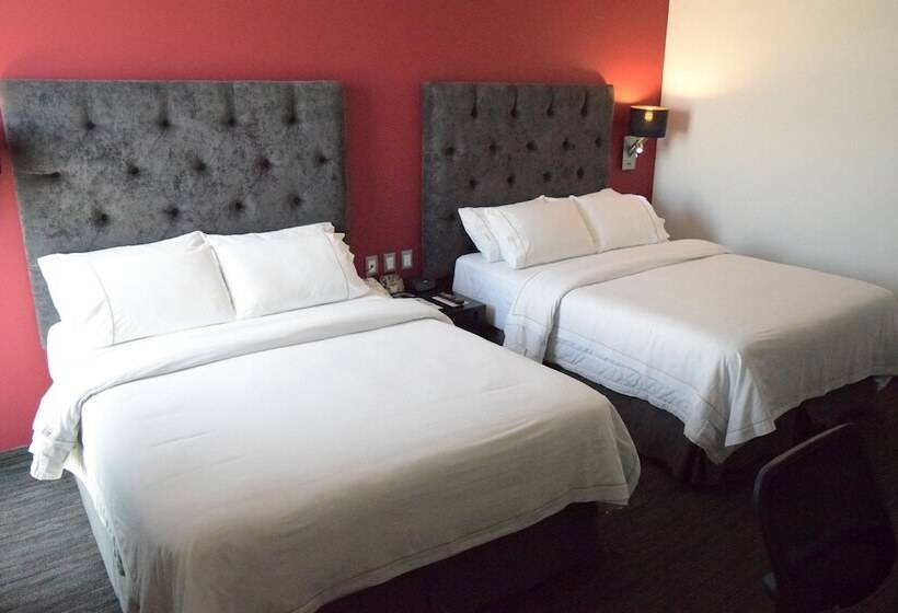 标准间, Holiday Inn Express Toluca Galerias Metepec, An Ihg