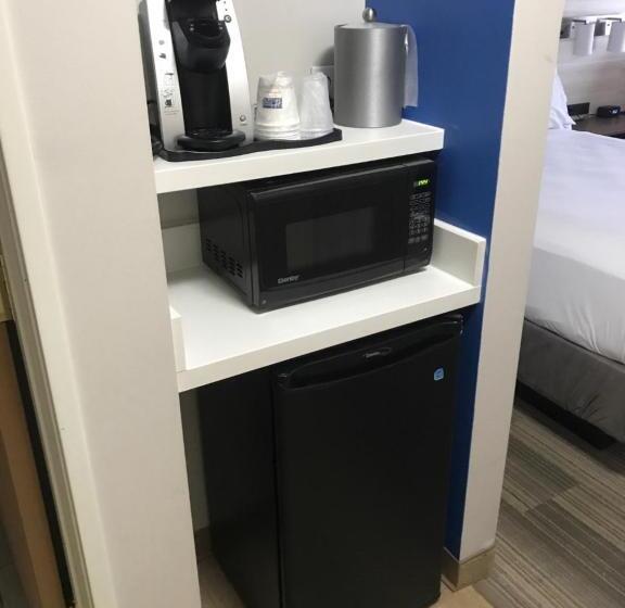 Номер Стандарт Кровать Кинг Адаптированный для Инвалидов, Holiday Inn Express Hotel & Suites Grand Blanc, An Ihg