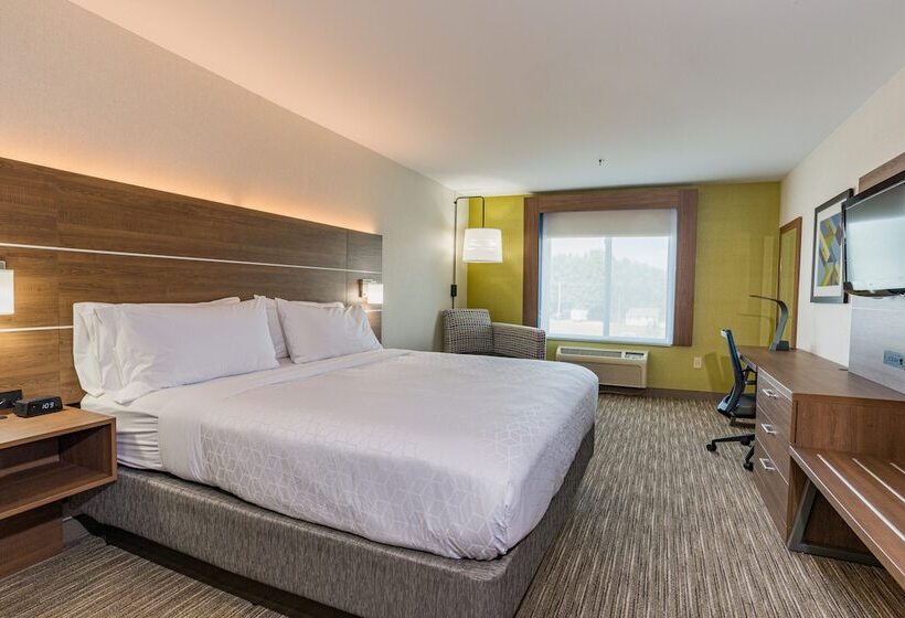 Quarto Estandar, Holiday Inn Express Hotel & Suites Swansea, An Ihg