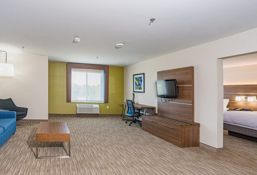Suíte, Holiday Inn Express Hotel & Suites Swansea, An Ihg