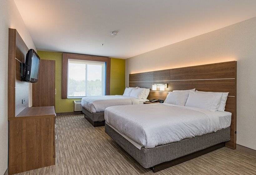 Люкс, Holiday Inn Express Hotel & Suites Swansea, An Ihg